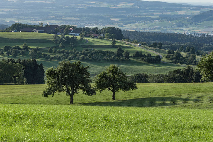 Zoom: lq_mittelthurgau_2.jpg